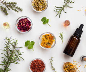 Aromatherapy Massage: Common Essential Oils and Their Benefits