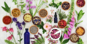 Aromatherapy Massage: Common Essential Oils and Their Benefits